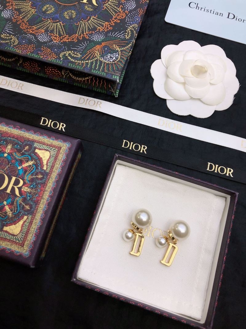 Christian Dior Earrings